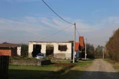 Mini IMG 7161